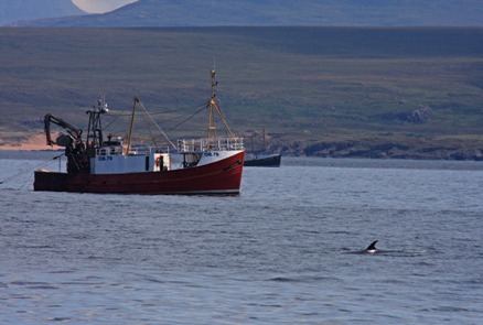 HWDT encourages marine users to support the community sightings network